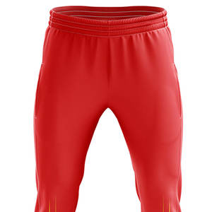 Uniforme léger et personnalisé de cricket de quantité minimale de commande bas de gamme OEM nouveau design de vêtements de sport joueurs de cricket populaires AZ LUCKY SPORTS - Product Image 6