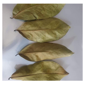 ต้นทุเรียนเทศแห้งสดชื่นใบชาสมุนไพรใบกราวิโอลาแห้งเรียบสำหรับประสบการณ์ผ่อนคลายในแต่ละวัน - Product Image 2