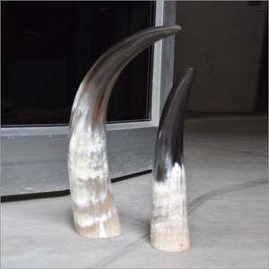 Hot Selling Saxon Viking Drinking Horn Mug Custom Made High Quality Polished Craft for Christmas Occasions Designed by Faizacrat - Product Image 5