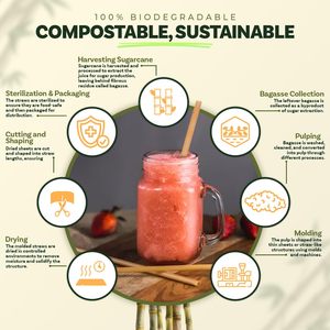 Pajita desechable ecológica, biodegradable y compostable de bagazo de caña de azúcar - Product Image 2