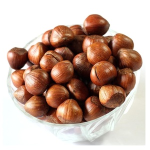 Noisettes brutes de qualité supérieure, taille 11,13 mm, naturelles, prêtes à consommer, disponibles en vrac, en gros, pour des collations saines, la pâtisserie et les usages culinaires - Product Image 1