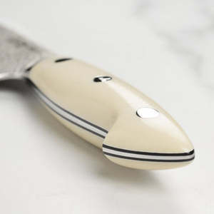 Venta al por mayor de pedidos a granel, servicio ODM, cuchillo de cocina de acero al carbono con mango de hueso, cuchillos de cocina personalizables para bricolaje y OEM - Product Image 5