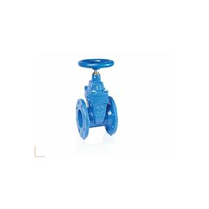 Valvola a scorrimento elastomero stampato ferro duttile F4 Dn50 2'' - Product Image 1