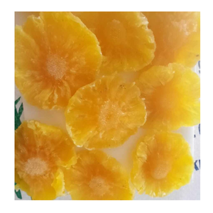 Ananas séchés biologiques tranches soigneusement traitées avec Chewy Sweet Indulgence en vrac ou emballés sous vide - Product Image 3