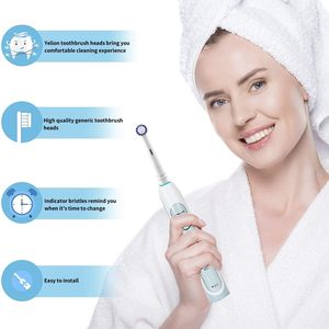 Satin-Finish Enamel Polishing Round Replacement <b>Toothbrush</b> <b>Heads</b> Generic for Oral Bs Electric Refills Wholesale - Product Image 6