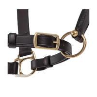 Harnais de cheval anglais Premium Max Breeches en cuir avec ferrures en laiton, durable, couleur et taille personnalisables