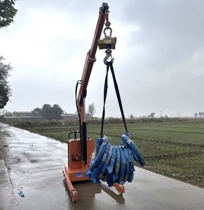 Mini Grúa de 1 Tonelada de Capacidad con Bomba, Componente Principal, Equipo de Construcción Nuevo - Product Image 2