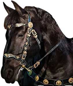 Western Horse Headstall Et Collier De Poitrine En Cuir De Vachette En Cuir Véritable Western Cheval Équestre Headstall Prêt À Expédier Accessoires - Product Image 4