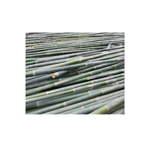 Tiras divididas de bambú natural para tejer y manualidades Material de bambú crudo ecológico para artesanías y construcción - Product Image 1