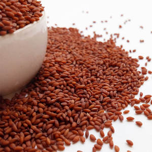 Berro | Secado al sol y limpiado | Perfecto para suministro a granel - Product Image 1