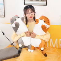 Coussin-Plaid en Peluche Longue en Forme de Chat, Qualité Export, Jouet en Peluche, Compagnon de Sommeil, Poupée Double Usage pour la Sieste et comme Cadeau