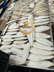 Os de seiche séché du Vietnam pour perroquets, tortues et reptiles approvisionnement en vrac disponible emballage OEM du Vietnam - Product Image 4