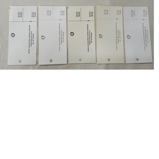 Recycled Paper Card Stock  in  250 GSM Ideal for Making Wedding Cards and Wedding Stationery Suitable for Resale