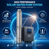Pompe à eau solaire submersible à haut débit pour puits profond, ensemble complet avec panneaux solaires et contrôleur pour ferme agricole