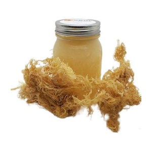 Algues marines séchées au soleil naturelles du Vietnam, algues marines séchées de haute qualité Eucheuma Cottonii, algues marines séchées en vrac pour l'exportation en gros - Product Image 5