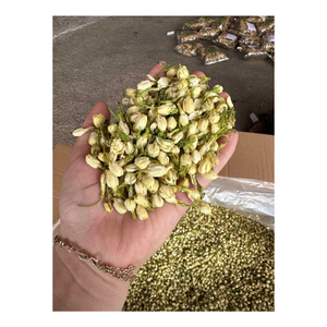 Bourgeons de jasmin séchés et tamisés pour l'apparence et le parfum conçus pour la préparation de boissons mélangées au thé ou les coffrets cadeaux - Product Image 5