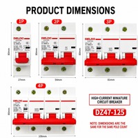 Disjoncteur miniature Delixi DZ4125 1P pour circuits d'éclairage domestique, panneaux de distribution, utilisation par électricien