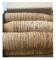100% Pot de coco fibre de noix de coco plante cultiver Pot de fleur Vase pressé à chaud meilleure vente Pot de sol bleu Lotus 2024 Agriculture