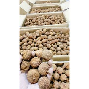 ส่งออกจํานวนมากราคาถูกลิ้นจี่แห้งจากซัพพลายเออร์เวียดนาม - Product Image 3