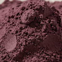 Poudre de prune noire lyophilisée instantanée, saveur fruitée naturelle, riche en antioxydants, pour la pâtisserie, les boissons, les smoothies, les desserts