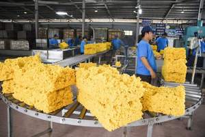 Caoutchouc naturel du Vietnam SVR 10 en blocs, de couleur claire, qualité supérieure - Product Image 2