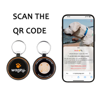 Maßge schneiderte Metall Zink legierung Blank QR-Code NFC Erkennungs marken Smart NFC Pet Tags