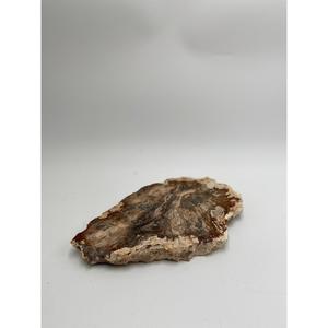 Plaque de bois pétrifié naturel en gros, épaisseur 2 cm, pour décoration intérieure, présentation sur table, artisanat en pierre - Product Image 6