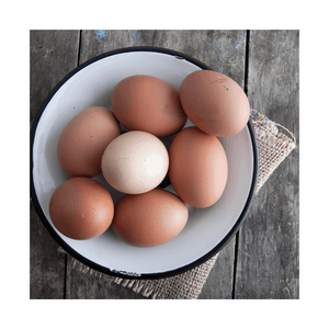 Œufs de table de poulet frais de la ferme / Fournisseur d'œufs de poulet frais riches en protéines, œufs de table frais blancs de la ferme - Product Image 3