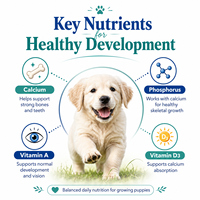 Comprimés de calcium pour la croissance des chiots, saveur poulet, développement osseux des animaux de compagnie, supplément multivitaminé, OEM