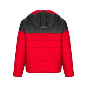 Veste à double teinte, vêtement d'hiver, couleur personnalisée, col montant, vêtement décontracté, veste d'hiver pour homme, doudoune d'hiver pour homme - Product Image 2