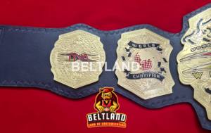 Ceinture de championnat de lutte mondiale poids lourd TNA, taille adulte, en zinc 2 mm 4 mm - Product Image 5