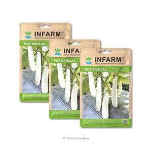 Semillas de Berenjena Blanca de Alta Calidad |   Berberecho Blanco Largo Premium 100% Natural 24 Meses de Duración en Almacenamiento Cosecha Rápida Alto Rendimiento Dulce - Product Image 3