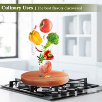 Vendeur chaud Himalayan 100% plaque de sel en cristal naturel briques de qualité alimentaire pour griller et barbecue sculpté forme ronde lampe à sel