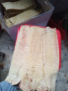 ปลาหมึกแห้งแบบแบนใหม่ล่าสุด - ปลาหมึกย่างสำหรับเวียดนาม - Product Image 2
