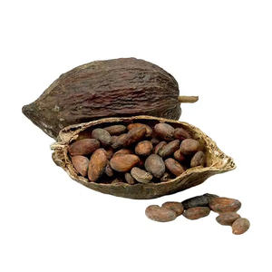 Fèves de cacao brutes biologiques/Fèves de cacao Ariba crues biologiques/Fèves de cacao fermentées crues séchées au soleil - Product Image 3
