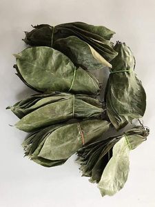 Hojas de Guanábana Secas Crudas Premium, Té de Durian Rojo Seco, Hojas de Graviola, Polvo Orgánico de Hoja de Graviola, Empaque Minorista o a Granel - Product Image 4