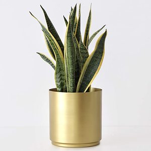 Maceta de jardín de flores de latón, maceta de decoración de jardín, forma redonda, acabado de latón pulido - Product Image 2