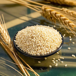 งาอินทรีย์เกรดสูง2025เมล็ดงาธรรมชาติสำหรับฟาร์มเก็บเกี่ยว - Product Image 3