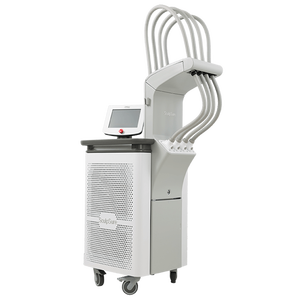 อุปกรณ์ปรับรูปร่างกระตุ้นร่างกาย cynosuree - Product Image 6