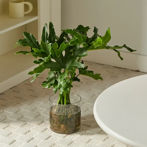 Vase en verre cylindrique transparent robuste soufflé à la main de grande taille, vase central pour les bouquets de roses et de tulipes, porte-bougie hurricane - Product Image 2