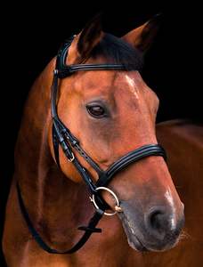 Cabestro Anatómico FREEDOM con Diseño Recortado, Convertible en Cabestro de Equitación - Product Image 3