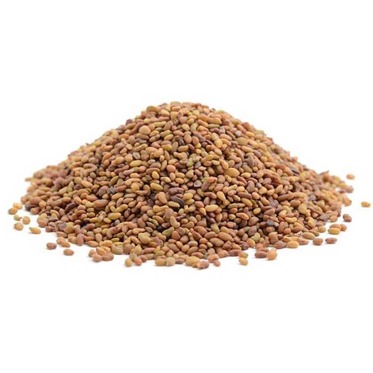 buffalo grass seed