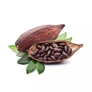 Fèves de cacao séchées de qualité/fèves de cacao Ariba grillées