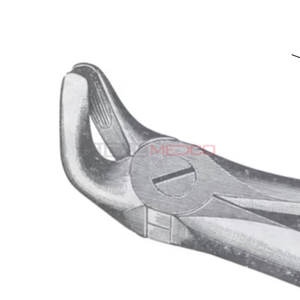 คีมถอนฟัน12ขนาด - Product Image 6