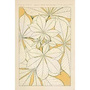 Owen Jones' Paper <b>Poster</b> Leaves From Nature No. 1 for Wall Decor - Product Image 1