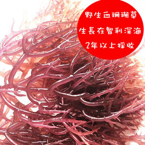 หญ้าปะการังแดงเป็นอาหารเพื่อสุขภาพที่อุดมไปด้วยคอลลาเจนและวิตามิน - Product Image 2