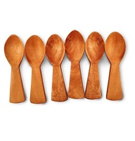Cuillère à café en bois pour poudre espèce cuillère à sel ustensiles de cuisson ménagers mini cuillère en bois