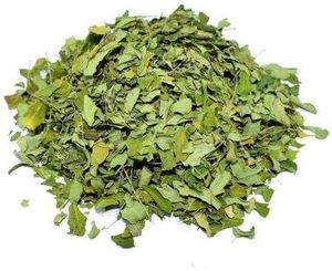Feuilles de Moringa entières séchées sauvages Ayana Harvest, qualité alimentaire, naturelles, biologiques et 100% pures EG - Product Image 5