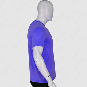 Blaze Fight Wear OEM T-shirts à logo personnalisé en coton biologique, T-shirt de fitness imprimé à col rond T-shirts pour hommes - Product Image 4