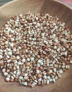 COIX SEED SUPERFOOD / TRADITIONAL HERBAL GRAIN / CLEAN LABEL / NATURAL ENERGY - Product Image 5